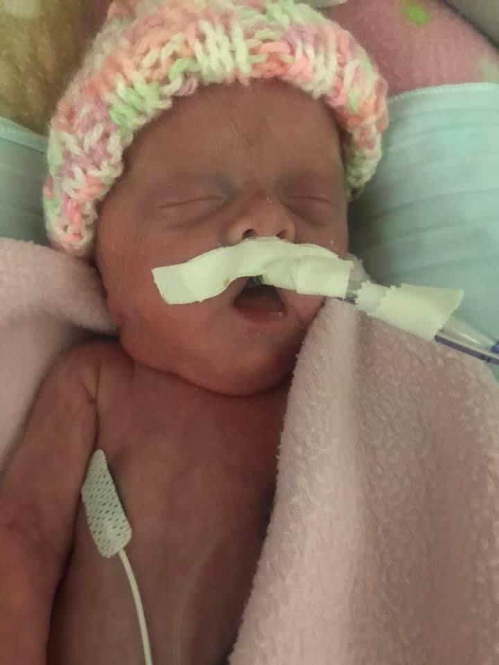 kambry50days4.jpg